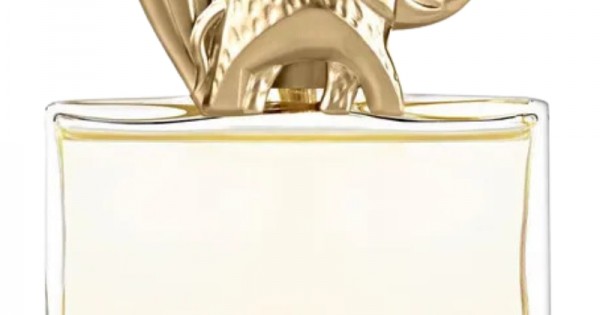 Women's Perfume Kenzo KENZO JUNGLE EDP EDP 100 ml