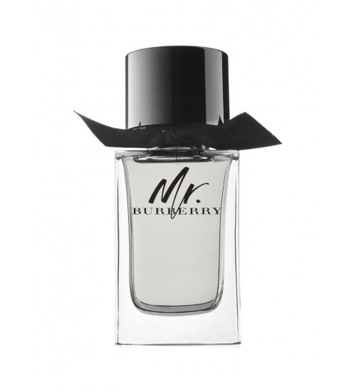 Burberry Mr. Burberry EDT 100ml