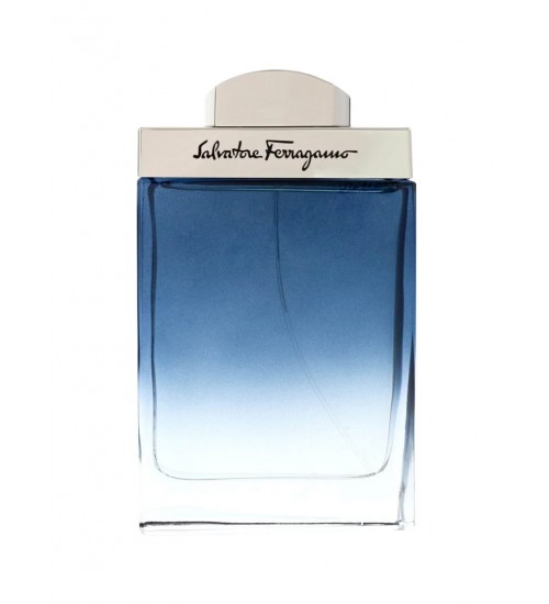 Salvatore Ferragamo Subtil EDT 100ml
