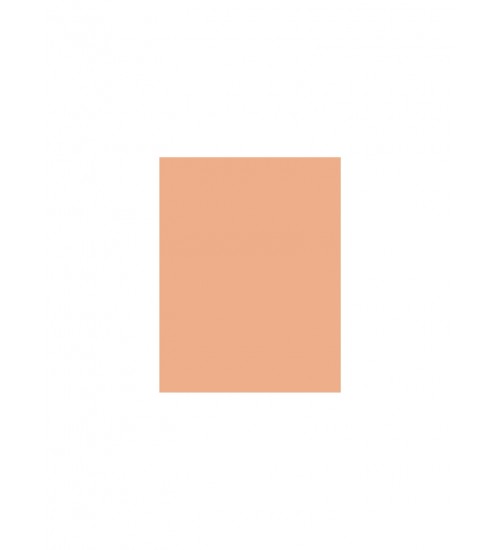 Shiseido Future Solution LX Total Radiance SPF15 30ml Shade: N4 Neutral Tonālais krēms Shiseido Future Solution LX Total Radiance SPF15 30ml Shade: N4 Neutral Tonālais krēms